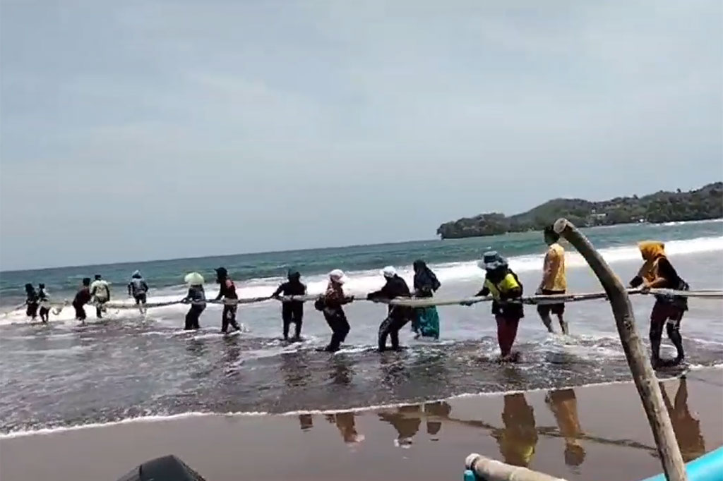 Fenomena langka terjadi di pantai Pangandaran, Jawa Barat. Ratusan ikan kakap merah terdampar di di pinggir pantai. Nelayan di Batukaras, Pangandaran, Jawa Barat, berhasil menangkap ikan jenis kakap merah sekitar 2,5 ton lebih.