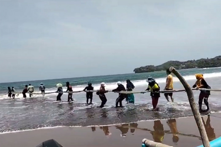 Fenomena langka terjadi di pantai Pangandaran, Jawa Barat. Ratusan ikan kakap merah terdampar di di pinggir pantai. Nelayan di Batukaras, Pangandaran, Jawa Barat, berhasil menangkap ikan jenis kakap merah sekitar 2,5 ton lebih.