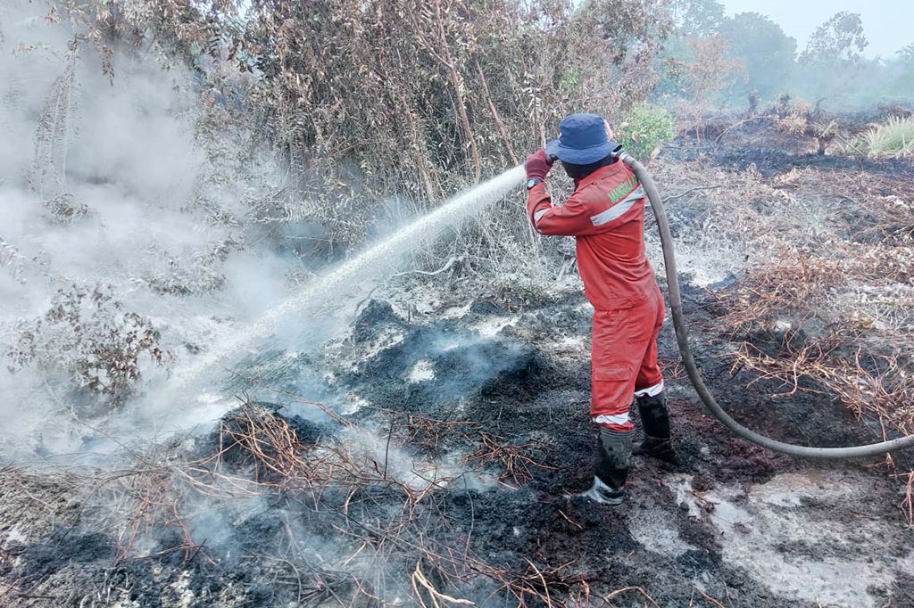 Kebakaran hutan dan lahan (karhutla) yang melanda wilayah Kota Pekanbaru dan sekitar telah berhasil dikendalikan. Tim pemadam gabungan berjibaku menangani karhutla agar tidak meluas.