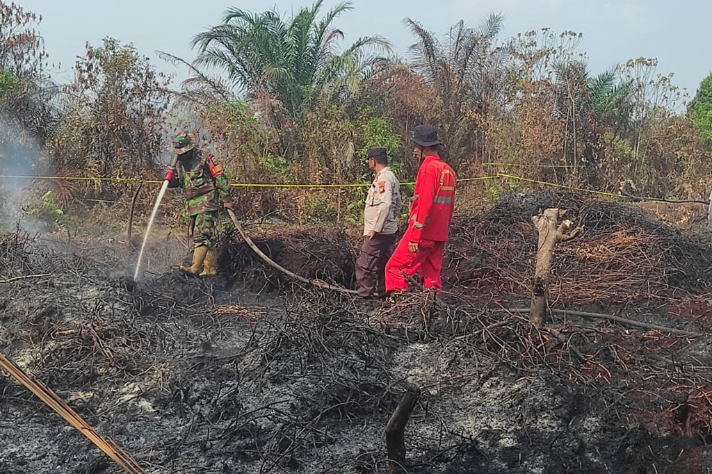 Ia menjelaskan, pihaknya juga kembali turun untuk melakukan pemadaman di Desa Rimbo Panjang dan Desa Tarai Bangun, Kabupaten Kampar. Upaya pemadaman Karhutla pada lahan gambut itu harus terus dilanjutkan karena kebakaran sudah masuk di kebakaran bawah lapisan gambut.
