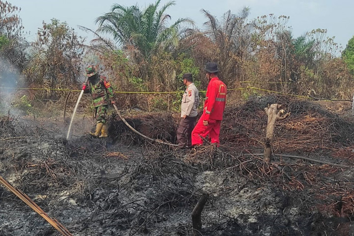 Ia menjelaskan, pihaknya juga kembali turun untuk melakukan pemadaman di Desa Rimbo Panjang dan Desa Tarai Bangun, Kabupaten Kampar. Upaya pemadaman Karhutla pada lahan gambut itu harus terus dilanjutkan karena kebakaran sudah masuk di kebakaran bawah lapisan gambut.