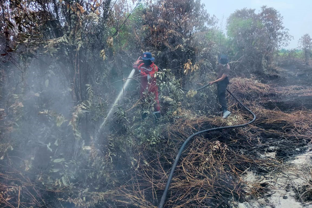 Komandan Manggala Agni Daops Pekanbaru Chaerul Parsaulian Ginting kepada Media Indonesia mengatakan upaya pemadaman kebakaran lahan telah berhasil dilakukan di Desa Pandau Jaya dan Desa Karya Indah, Kabupaten Kampar, Riau.