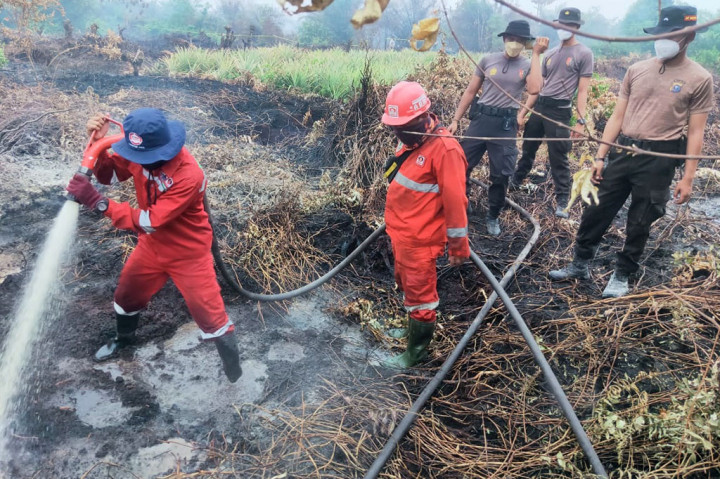 Sedangkan kabut asap kiriman karhutla dari Sumatra Selatan (Sumsel) masih menyelimuti langit Kota Pekanbaru. Kabut asap tersebut mengakibatkan kualitas udara memburuk dengan konsentrasi partikulat PM2,5 pada level tidak sehat.