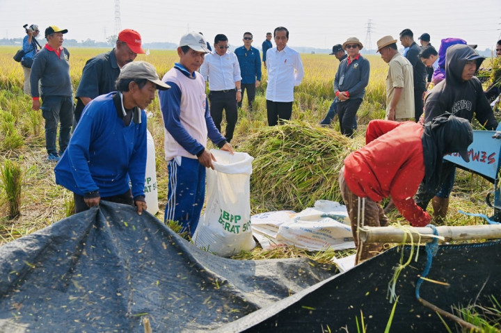 Presiden Jokowi memperkirakan persediaan beras nasional akan kembali bertambah pada kisaran angka 1,5 juta ton sampai akhir 2023.