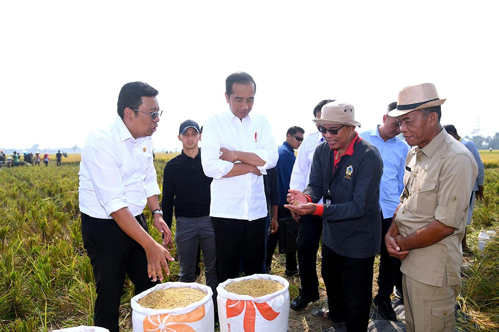 Presiden Jokowi pun senang menyaksikan hasil panen raya padi mencapai total 9 ton/hektare di lokasi itu.
