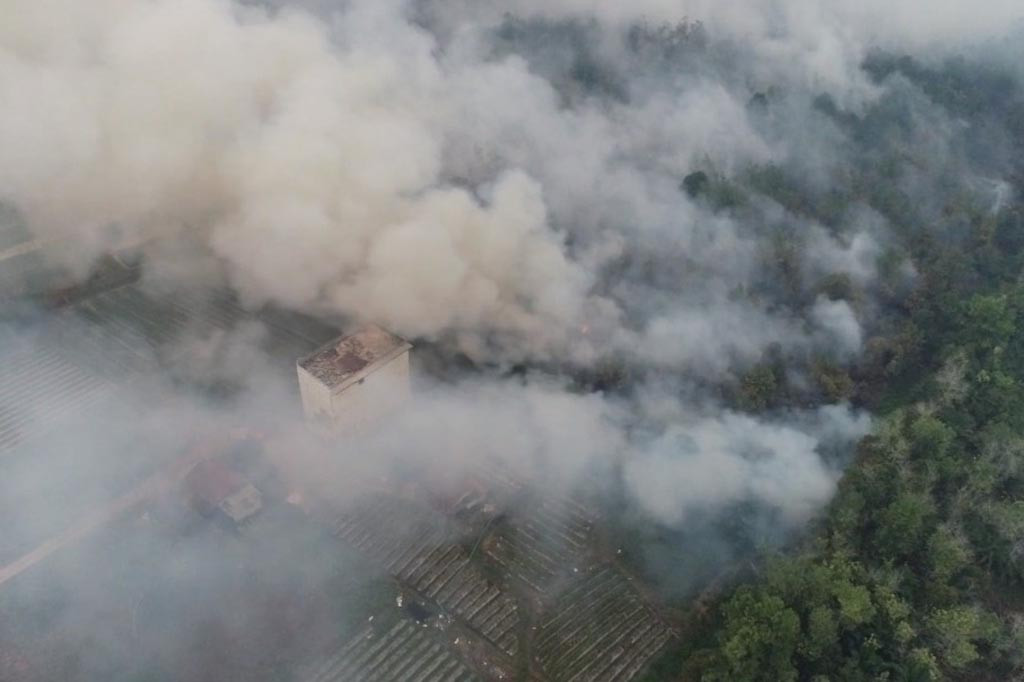 Ratusan hektare lahan yang terbakar terus meluas di Kawasan Kereng Bangkirai, Kecamatan Sebangau, Kota Palangka Raya, Minggu, 8 Oktiber 2023 siang.