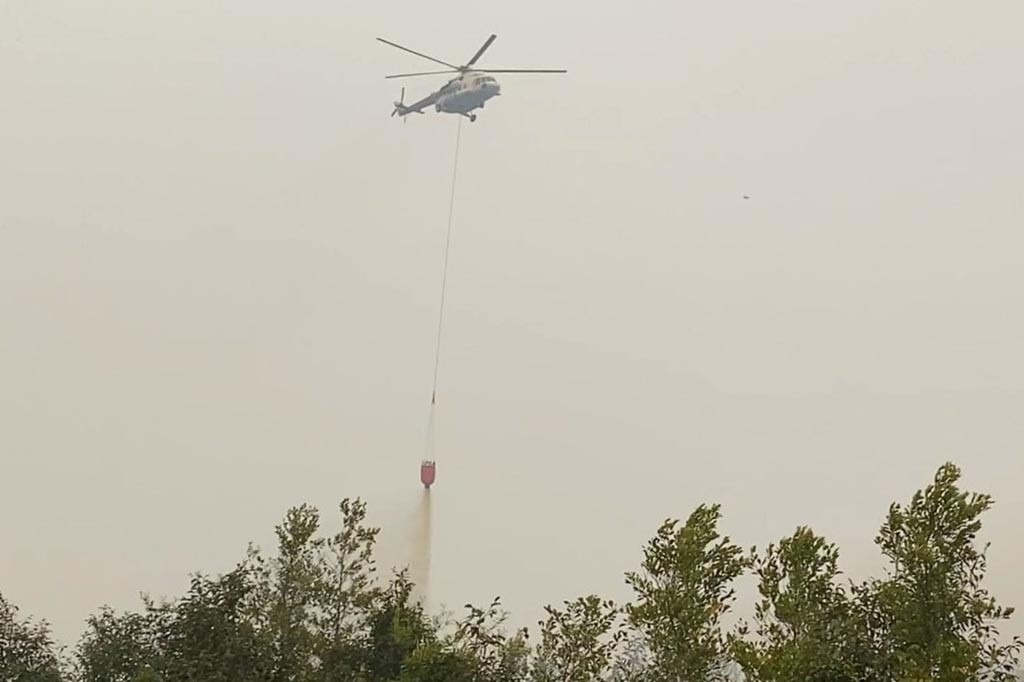 Diperkirakan sudah ada ratusan lahan gambut dan tumbuhan rasau di Kawasan Kereng Bangkirai yang terbakar. Pemadaman terpaksa harus dibantu oleh satgas udara dengan menggunakan helikopter waterbombing untuk menyemprotkan air dari udara.