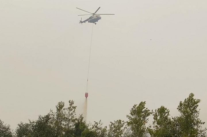 Diperkirakan sudah ada ratusan lahan gambut dan tumbuhan rasau di Kawasan Kereng Bangkirai yang terbakar. Pemadaman terpaksa harus dibantu oleh satgas udara dengan menggunakan helikopter waterbombing untuk menyemprotkan air dari udara.