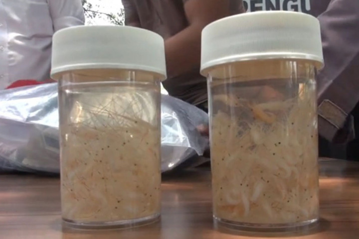 Penangkapan dilakukan di terminal 2F dengan pelaku dua orang warga negara indonesia yang melakukan penyelundupan benih lobster sebanyak 107.800 ekor yang hendak dibawa ke negara Singapura.