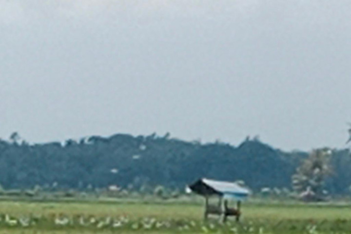 Kabut asap kiriman yang menyelimuti wilayah Provinsi Aceh sejak sepekan terakhir, kini tampaknya semakin pekat. Padahal sejak dua hari terakhir di lokasi tersebut sering diguyur hujan.