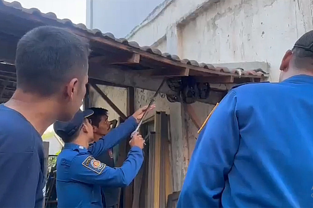 Seekor ular piton dengan panjang 4,5 meter bersarang di gudang sekolah SMP Negeri di Gresik, Jawa Timur. Keberadaan ular yang diketahui oleh salah satu siswa ini akhirnya dievakuasi petugas pemadam kebakaran dan penyelamatan agar tidak membahayakan keselamatan siswa.