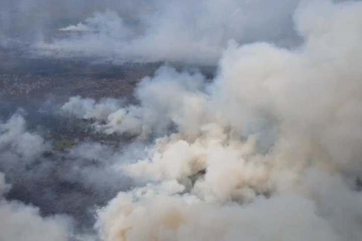 Kebakaran hutan dan lahan di wilayah bagian Selatan Kabupaten Kotawaringin Timur, Kalimantan Tengah, Kamis, 12 Oktober 2023, kembali terjadi dan semakin meluas. Api dengan cepat menyebar karena tiupan angin kencang, sehingga asap kebakaran tersebut menyelimuti Kota Sampit.