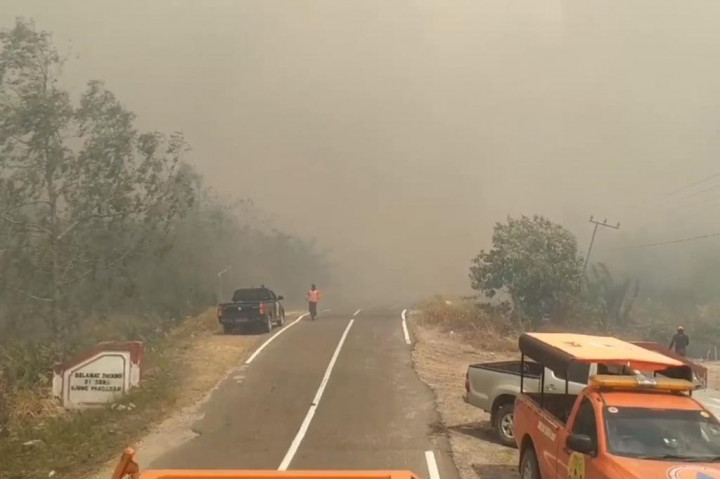 Tim Satgas Kebakaran hutan dan lahan Kotawaringin Timur, terus melakukan penanggulangan karhutla di Desa Ujung Pandaran, Kecamatan Teluk Sampit. Desa Ujung Pandaran ini berada dibagian Selatan Kabupaten Kotawaringin Timur, berjakarak 90 kilometer dari Kota Sampit.