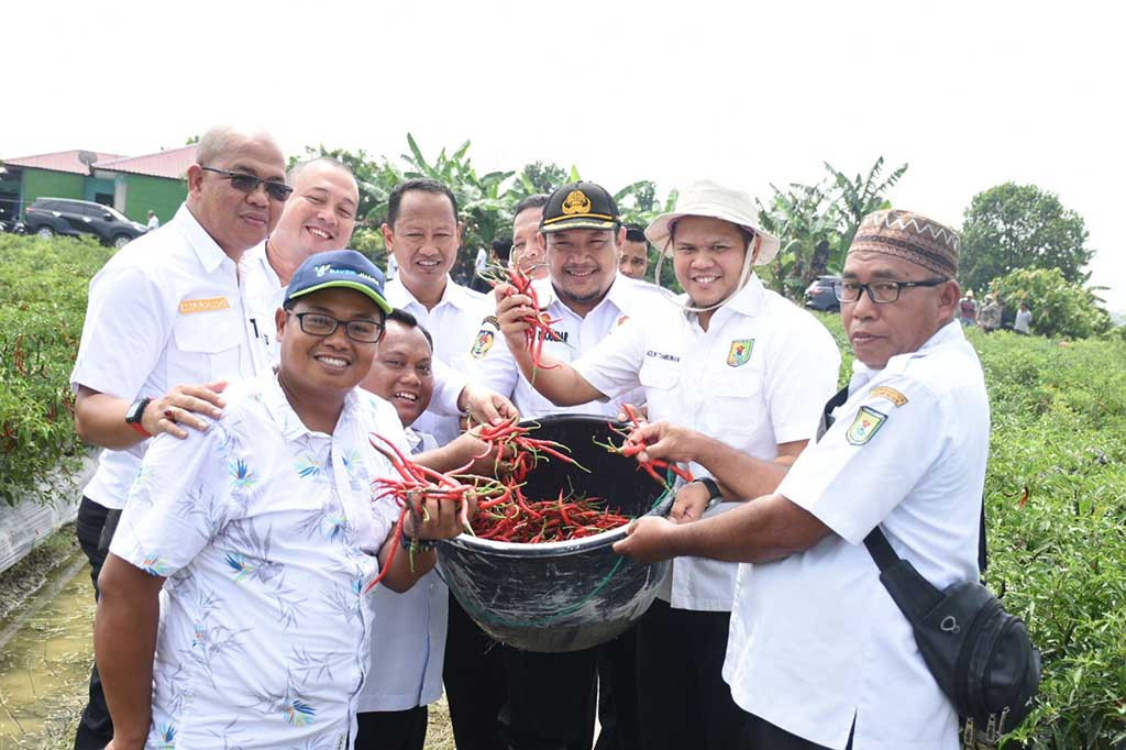 Adlin mengutarakan saat ini Sergai sudah memiliki status sebagai lumbung padi di Provinsi Sumatera Utara. Ke depan ia berharap status serupa, yaitu sebagai penyuplai bahan pangan cabai terbesar dapat tercapai.