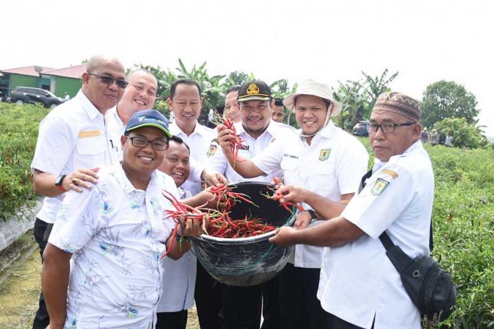Adlin mengutarakan saat ini Sergai sudah memiliki status sebagai lumbung padi di Provinsi Sumatera Utara. Ke depan ia berharap status serupa, yaitu sebagai penyuplai bahan pangan cabai terbesar dapat tercapai.