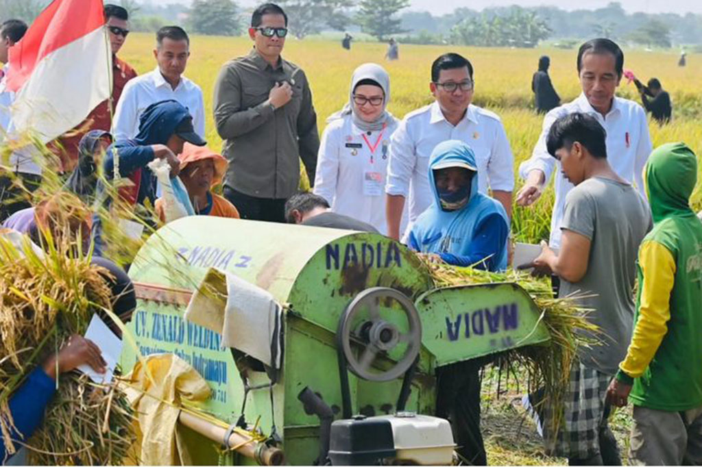 Jokowi mengatakan bahwa produksi padi secara nasional masih dalam kategori baik meskipun terjadi penurunan karena El Nino.