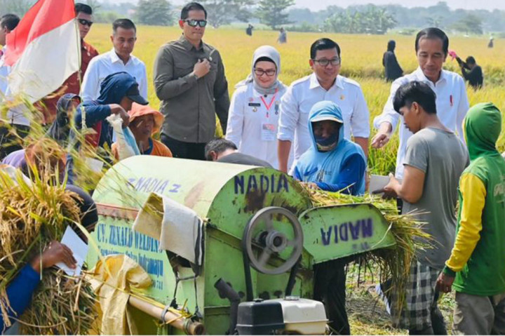 Jokowi mengatakan bahwa produksi padi secara nasional masih dalam kategori baik meskipun terjadi penurunan karena El Nino.