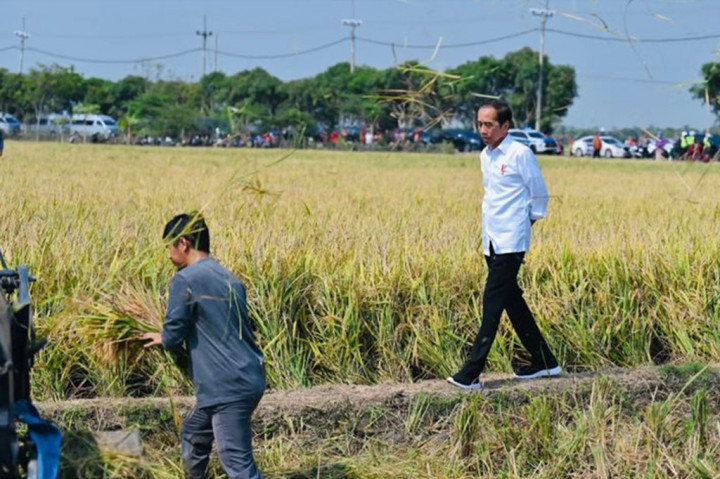 Untuk mengendalikan harga di tingkat konsumen, kata Jokowi, beras dari Perum Bulog harus segera digelontorkan ke pasar.