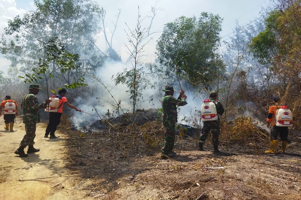 Sehingga menurutnya sampai Minggu ini luasan karhutla di Babel mencapai 1.643,91 hektare dengan kabupaten terluas ada di Belitung Timur 572 hektare.