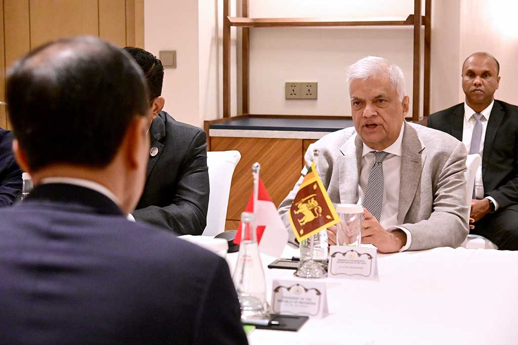 Selain itu, Presiden juga berharap dukungan Sri Lanka untuk dapat mencabut kebijakan larangan impor minyak sawit. Presiden mengatakan bahwa minyak sawit merupakan komoditas unggulan Indonesia yang diproduksi dengan memperhatikan standar lingkungan.