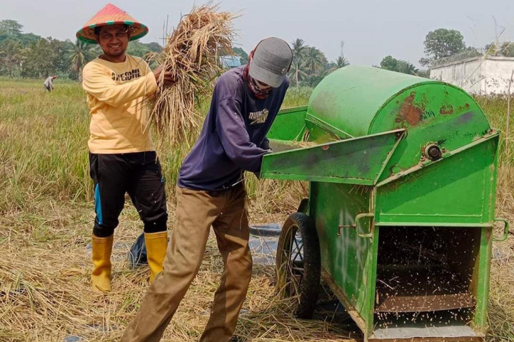 Produktivitas padi dari para petani di Sumatra Selatan terus didorong pemerintah daerah. Hal itu sebagai upaya memastikan pasokan beras hasil produksi petani aman demi memenuhi kebutuhan masyarakat.