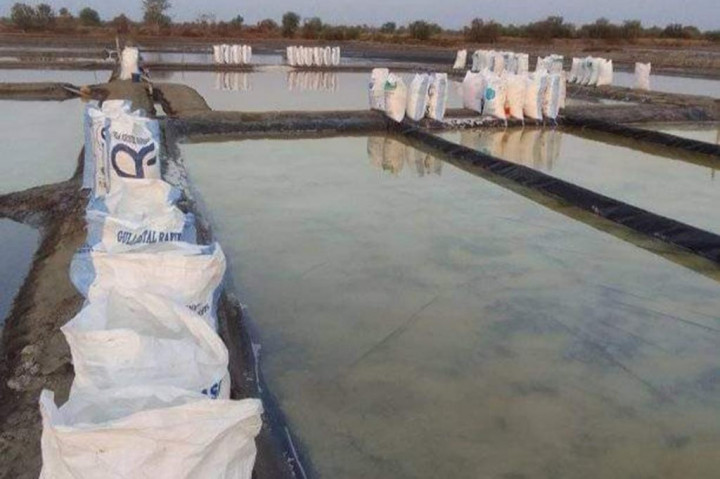 Kemarau membawa berkah dan saatnya menabung, itulah terjadi pada petani garam di Pantura Jawa Tengah, karena musim kemarau ini menghadapi musim panen raya garam tradisional yang ada disepanjang Pati-Rembang.