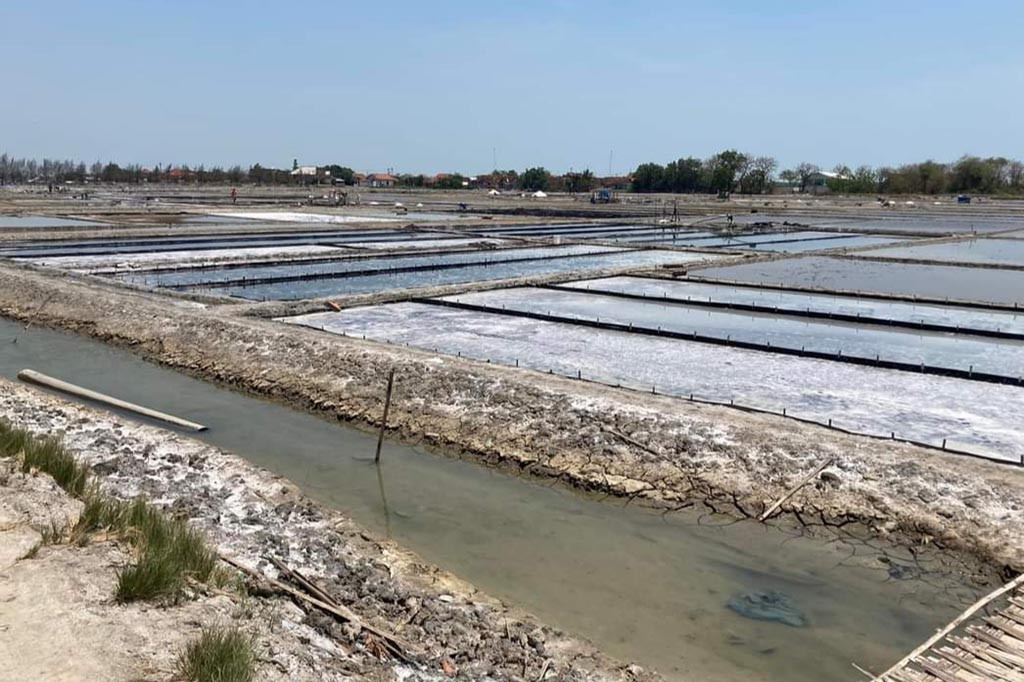 Kemarau panjang ini menjadi berkah bagi petani garam, karena sedang menghadapi panen raya dari ribuan hektare ladang garam sepanjang jalur pantura tersebut, sehingga gairah untuk mengolah ladang semakin tinggi, bahkan selama musim kemarau di ini rata-rata setiap tambak telah tiga kali panen.