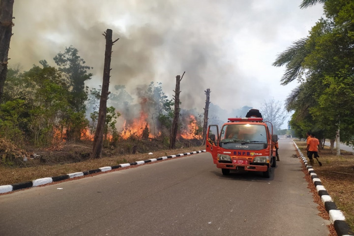 Seperti lima hektare lahan kosong yang tepat berada di depan Kantor Perwakilan Bank Indonesia (BI) Babel. Senin, 23 Oktober 2023.
