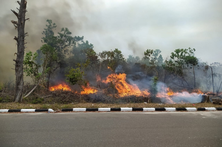 Kepala Badan Penanggulangan Bencana Daerah (BPBD) Babel Mikron Antariksa mengatakan untuk memadamkan api yang membakar lahan kosong seluas 5 hektare itu diterjunkan enam mobil pemadam.