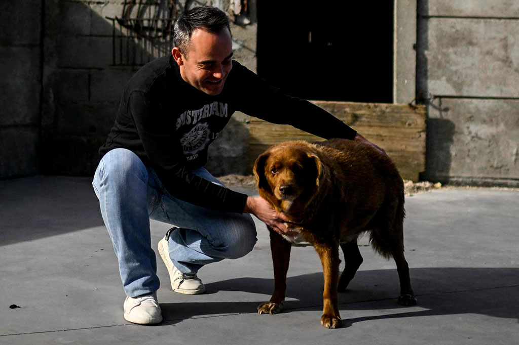 Bobi lahir pada 11 Mei 1992, bersama tiga anak anjing lainnya di gudang penyimpanan kayu milik keluarga Costa di Desa Conqueiros.