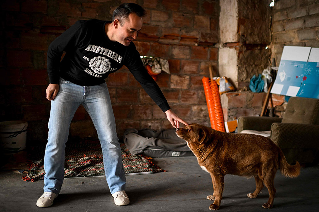Karena keluarga tersebut memiliki begitu banyak hewan, sang ayah memutuskan mereka tidak dapat memelihara anak-anak anjing yang baru lahir tersebut dan orang tuanya membawa mereka dari kandang keesokan harinya, sementara induk anjing Gira sedang keluar, kata Leonel Costa, yang saat itu berusia delapan tahun. Namun mereka tidak menyadari bahwa mereka telah meninggalkan seekor anak anjing, dan anak anjing itu menjadi Bobi.