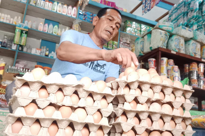 Amatan Media Indonesia, Senin, 23 Oktober 2023, di Pasar Caleue, Kecamatan Indramayu dan Pasar Tradisional Neulop Reubee, Kecamatan Delima, Kabupaten Pidie misalnya, harga telur ayam ras dari sebulan lalu Rp50.000/papan (30 butir), sekarang turun menjadi Rp46.000/papan.