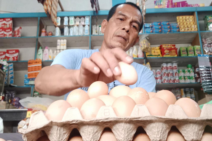 Ditengah kondisi ekonomi yang carut-marut, ada ada secercah senyuman tersungging pada raut wajah warga di kawasan Provinsi Aceh. Kehadiran senyuman itu terpancar setelah harga telur ayam ras melandai di beberapa pasaran kawasan Serambi Mekkah.