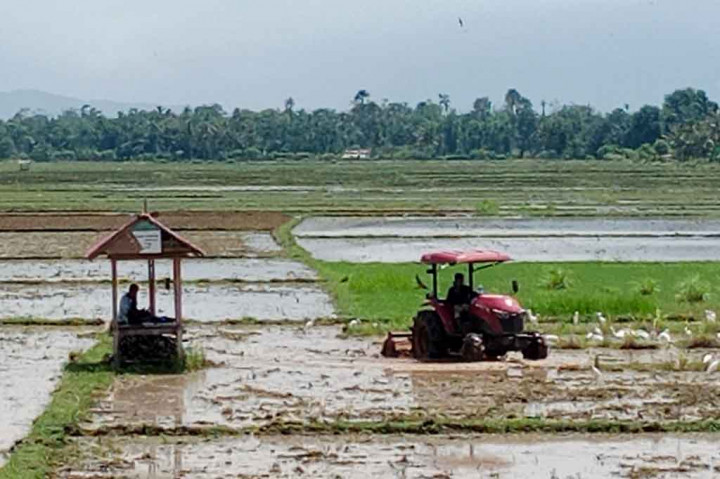 Koordinator Penyuluh Pertanian, Kabupaten Pidie, Aceh, Ir Muhammad mengatakan, jadwal turun ke sawah di Pidie, biasanya dibagi dua tahap. Tahap pertama pada awal musim hujan, diperuntukkan untuk mereka yang
memiliki lahan sawah di kawasan hilir sungai irigasi. Petani di hilir memulai lebih cepat supaya mudah mengatur ketersediaan air irigasi.