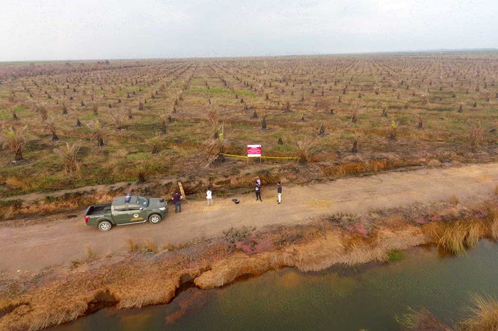 Hingga 27 Oktober 2023, KLHK telah menyegel 49 lokasi karhutla meliputi 16 lokasi di Sumatera Selatan, 11 di Kalimantan Barat, 16 lokasi di Kalimantan Tengah dan dua lokasi di Kalimantan Selatan, empat lokasi di Riau. Terdiri dari delapan perusahaan PMA (Singapura, Malaysia, Tiongkok, Jepang, India, Srilanka dan Luxemborg), 31  perusahaan PMDN dan 10 lokasi lahan milik masyarakat.
