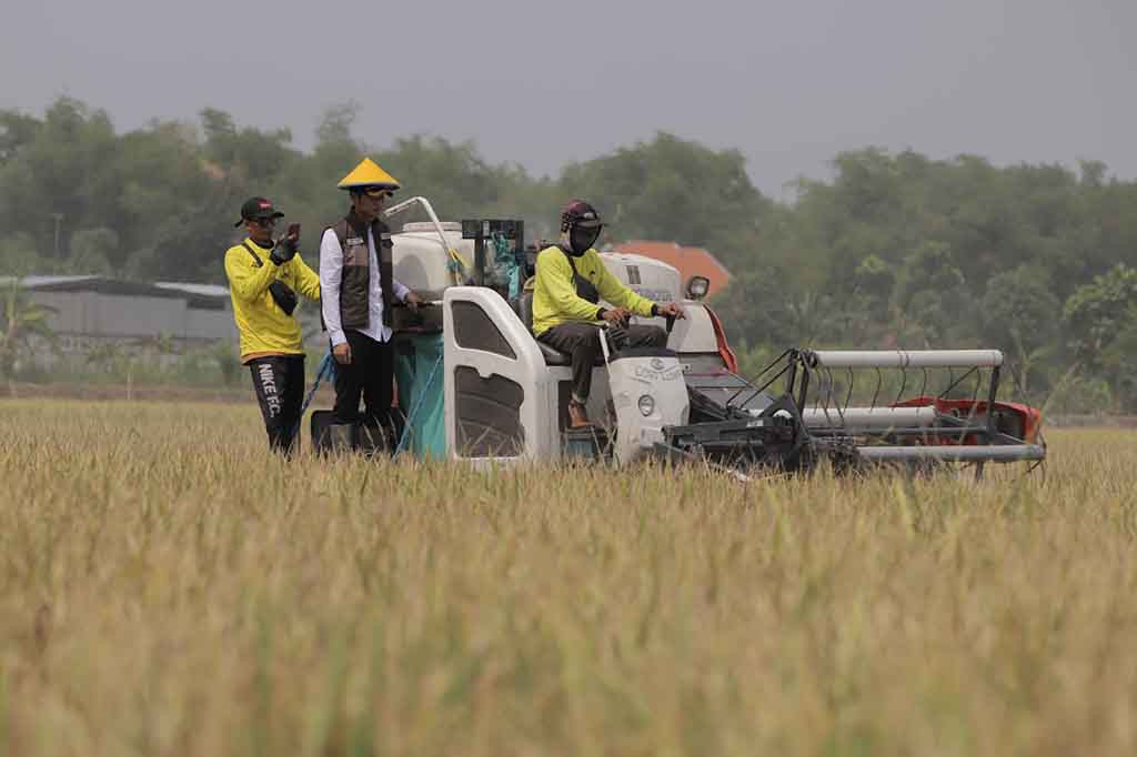 Gubernur Jatim, Khofifah Indar Parawangsa menyatakan produksi padi di Jatim surplus hingga 9,23 persen. Bahkan, stok padi di Jawa Timur menjadi penyangga ketahanan pangan di luar Jawa.