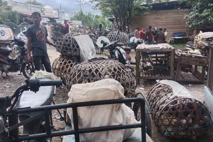 Amatan Media Indonesia, di pusat pasar ayam kampung Keunire, Kecamatan Pidie, Kabupaten Pidie, Aceh, Rabu, 1 November 2023 misalnya, harga ayam kampung (ayam lokal) ukuran besar (ayam jantan) yang sebelumnya berkisar Rp150.000 hingga Rp160.000 per ekor, sejak sebulan terakhir naik menjadi Rp200.000 hingga Rp230.000 per ekor.