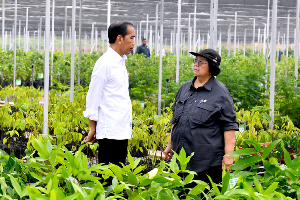 Lilik pun menilai bahwa dirinya optimistis jika IKN nantinya akan menjadi ibu kota baru yang lebih hijau dengan dukungan suplai bibit tanaman dari Persemaian Mentawir.