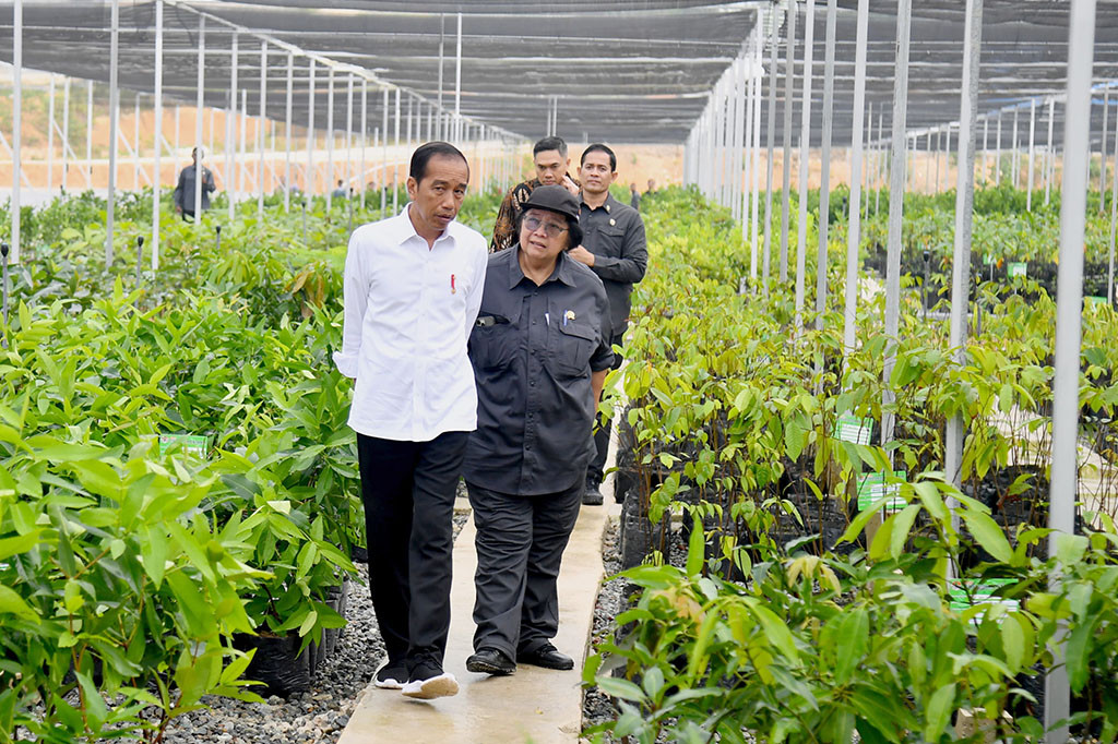 Dalam kesempatan terpisah, Direktur Utama Kompas Gramedia, Lilik Oetama yang ikut serta dalam kegiatan tersebut mengungkapkan bahwa dirinya merasa takjub melihat persemaian yang nantinya akan menghasilkan bibit-bibit tanaman untuk menghijaukan Ibu Kota Nusantara.