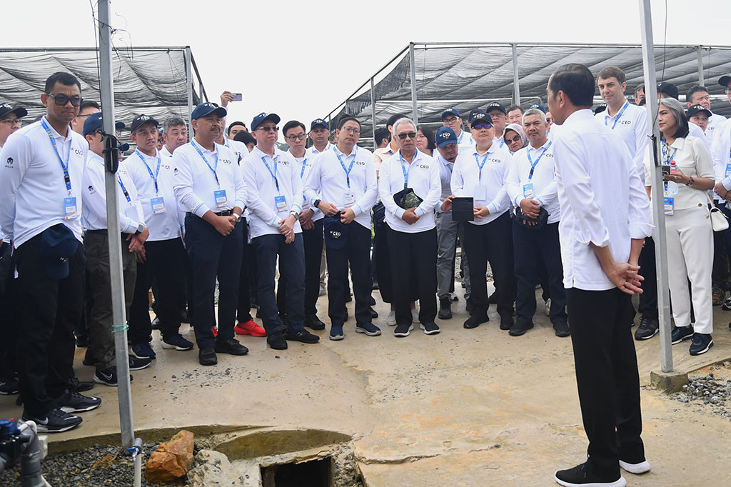 “Ini yang sering saya ceritakan bahwa kita ingin membangun Kalimantan hijau dan Nusantara forest city, jadi kita mulai dengan ini,” jelas Presiden kepada para pemimpin perusahaan sambil meninjau bibit di sana.