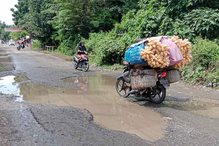 Amatan Media Indonesia di lokasi, pada Sabtu, 4 November 2023 ratusan lubang layaknya kolam dan kubangan kerbau bertaburan sepanjang lintasan itu. Apalagi sedang musim hujan seperti sekang yang dipenuhi genangan air. Lebih parah lagi ketika terjadi luapan sungai yang bersihkan dengan jalur padat tersebut.
