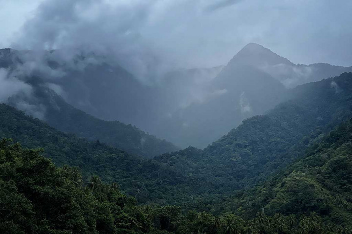 Seekor echidna yang sulit ditangkap dan dikhawatirkan punah setelah menghilang selama enam dekade, telah ditemukan kembali di daerah terpencil di Indonesia, dalam sebuah ekspedisi yang juga menemukan udang jenis baru yang hidup di pohon. Binatang itu terakhir kali terlihat pada 1961.