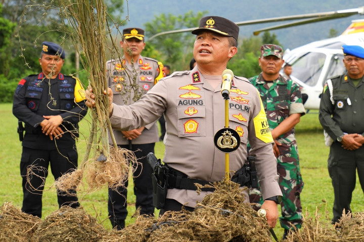 Pengungkapan 150 Ha ladang ganja di Kabupaten Madina, Sumut tersebut merupakan pengembangan dari penangkapan 3 orang kurir asal Padang, Sumatera Barat (Sumbar).