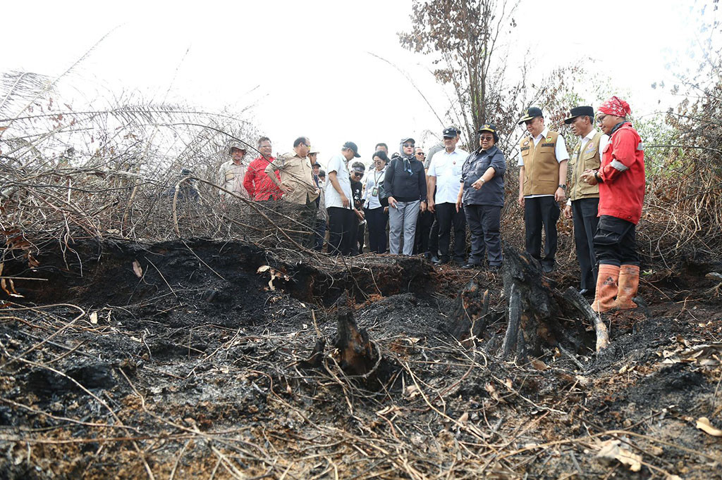 Karena itu, Menteri Lingkungan Hidup dan Kehutanan RI Siti Nurbaya dan Penjabat Gubernur Sumsel Agus Fatoni mengecek langsung lokasi karhutla di Desa Jungkal tersebut, Minggu, 12 November 2023.