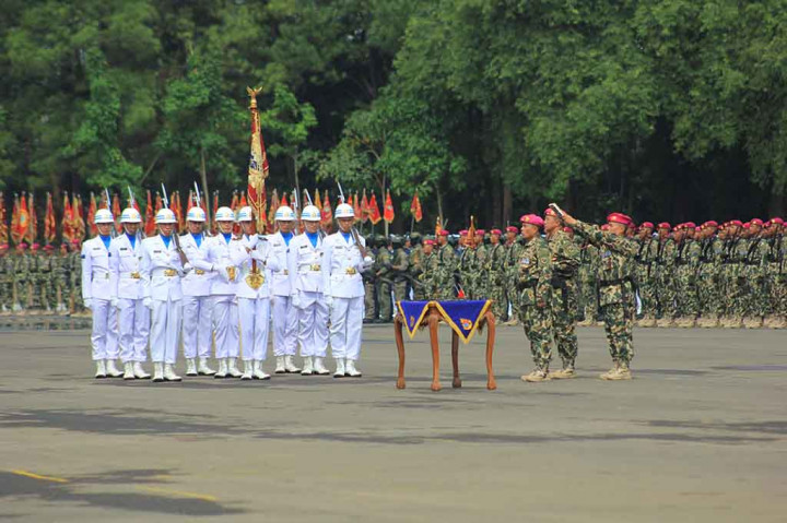 Menurut Ali, upacara sertijab tersebut merupakan regenerasi yang harus dilakukan untuk meremajakan Korps Marinir. Dengan demikian, Ali berharap Korps Marinir dapat meningkatkan dan mempertahankan kualitas profesionalitas prajurit.