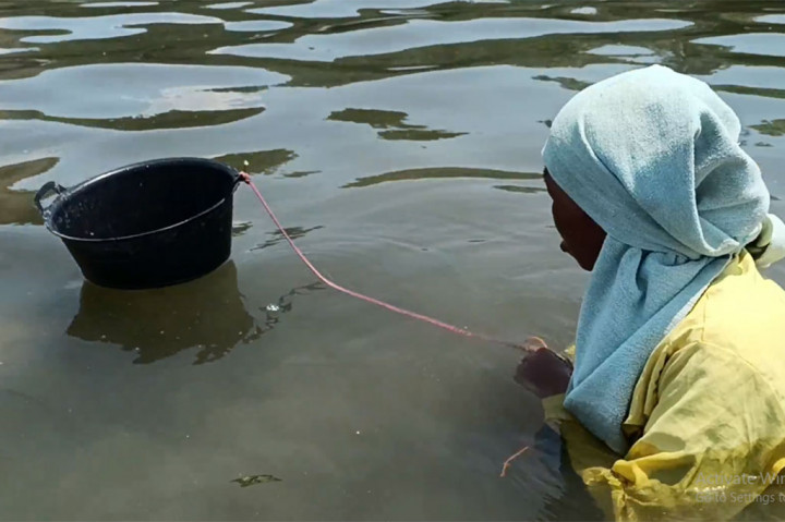 Seorang ibu di Pulau Battoa, Polewali Mandar, Sulawesi Barat, terpaksa mencari kerang di laut untuk memenuhi kebutuhan bayinya. Himpitan ekonomi membuatnya harus banting tulang memenuhi kebutuhan hidup keluarga. Bahkan terkadang ia harus membawa serta anaknya turun ke dermaga saat mencari kerang.
