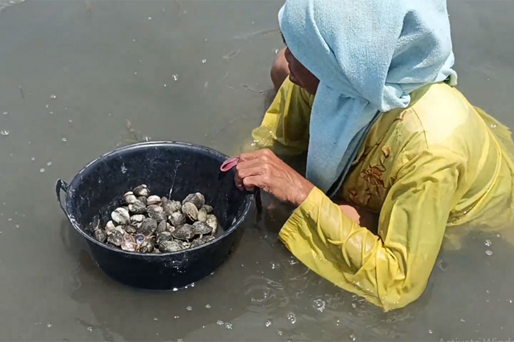 Dalam sehari, ia hanya mampu mendapatkan satu baskom kerang yang kemudian dijual kepada pengepul dengan harga Rp35 ribu rupiah.
