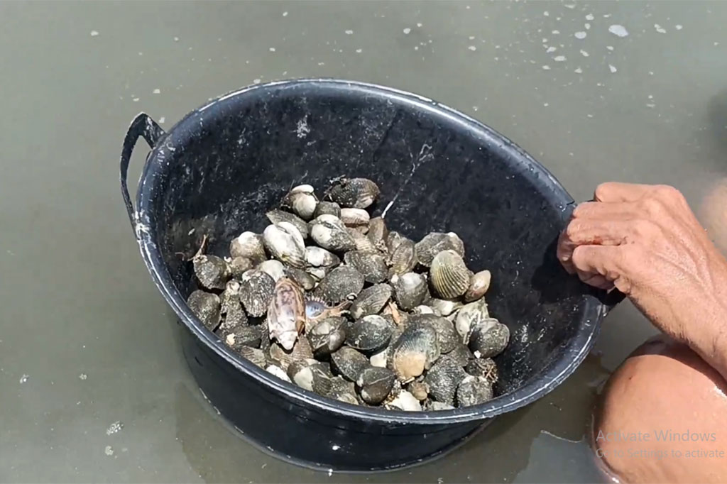 Menurut Ibu Hasma, uang hasil penjualan kerang ini digunakan untuk membeli beras dan sembako dan paling utama adalah untuk memenuhi kebutuhan bayinya seperti beli susu, popok serta kebutuhan lainnya. Sering kali uangnya habis untuk membeli susu, bahkan terkadang jika uangnya tidak cukup, ia terpaksa memberikan air rebusan nasi untuk bayinya.