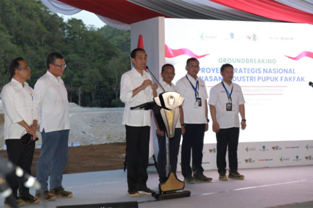 Presiden menilai, pembangunan kawasan industri pupuk tersebut dilakukan di Kabupaten Fakfak dikarenakan dekat dengan sumber suplai gas dan ke depannya dapat mendukung rencana besar pembangunan lumbung pangan di Papua. “Kalau itu dimulai tidak di-back up oleh industri pupuknya, ini juga akan berat. Oleh sebab itu, ini sudah sebuah rencana besar, saling mendukung, dan kita harapkan tanah Papua semakin makmur dan sejahtera,” jelasnya.