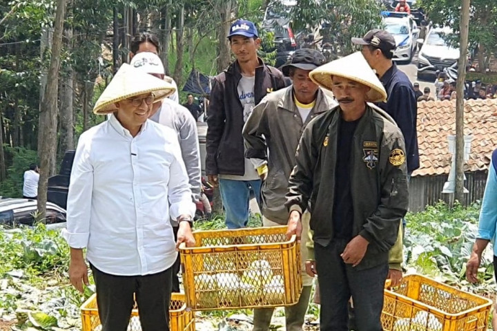 Mantan Gubernur DKI Jakarta itu itu mengatakan petani butuh ketersediaan pupuk yang dapat dilihat siklus produksinya oleh pemerintah. Sementara, siklus produksi yang berulang kali itu tetap ketersediaan pupuk masih belum mumpuni.